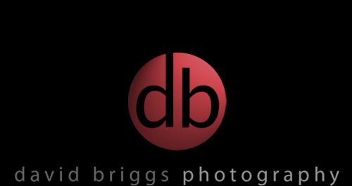 david briggs photography
